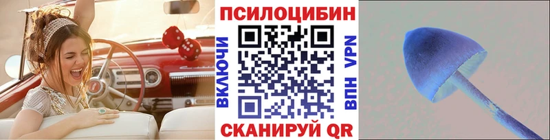 купить   Дзержинский  omg ссылка  Псилоцибиновые грибы Psilocybine cubensis 