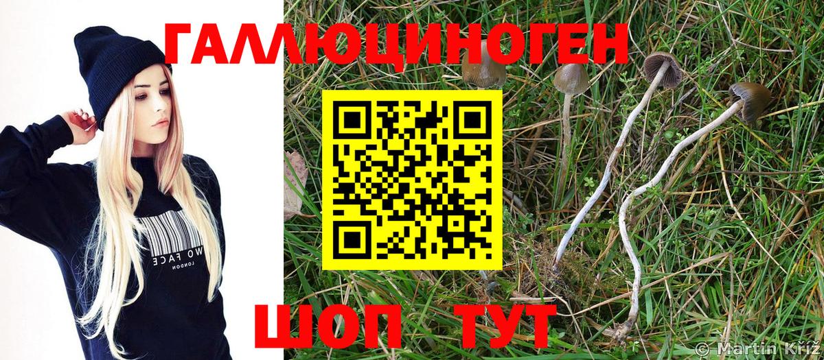 Псилоцибиновые грибы ЛСД Дзержинский